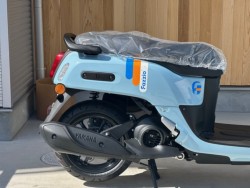 ���}�nFazzio�i���Q�������s�j�摜3