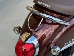 �z���_�W�����m�i���Q�������s�j�摜20