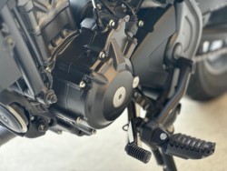 �z���_���u��250�i���Q�������s�j�摜18