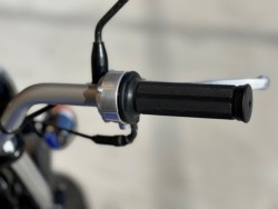 �z���_�G�C�v50�i���Q�������s�j�摜18