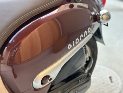 �z���_�W�����m�i���Q�������s�j�摜21