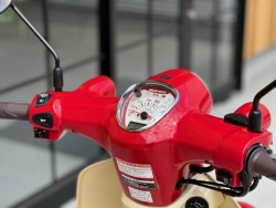 �z���_�X�[�p�[�J�u110�i���Q�������s�j�摜12