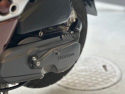 �z���_�W�����m�i���Q�������s�j�摜22