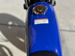 �z���_�G�C�v50�i���Q�������s�j�摜20