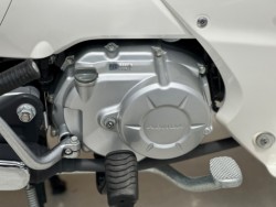 �z���_�X�[�p�[�J�u110�v���i���Q�������s�j�摜21