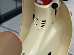 �z���_�X�[�p�[�J�u110�i���Q�������s�j�摜13