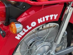 �z���_�X�[�p�[�J�u50�i���Q�������s�j�摜16