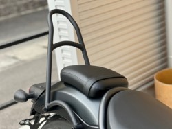 �z���_���u��250�i���Q�������s�j�摜21