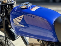 �z���_�G�C�v50�i���Q�������s�j�摜21