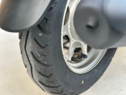 �z���_�W�����m�i���Q�������s�j�摜24