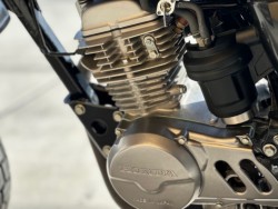 �z���_�G�C�v50�i���Q�������s�j�摜22