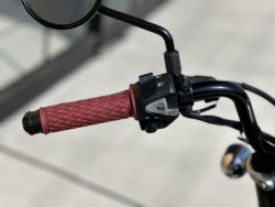 �z���_�����L�[125�i���Q�������s�j�摜15