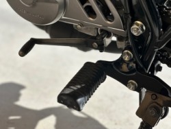 �z���_�G�C�v50�i���Q�������s�j�摜23