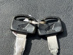 �z���_�X�[�p�[�J�u110�v���i���Q�������s�j�摜28