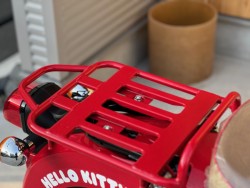 �z���_�X�[�p�[�J�u110�i���Q�������s�j�摜17