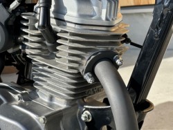 �z���_�G�C�v50�i���Q�������s�j�摜25