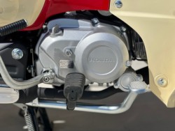 �z���_�X�[�p�[�J�u110�i���Q�������s�j�摜20