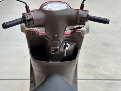 �X�Y�L���b�c�o�X�P�b�g�i���Q�������s�j�摜21