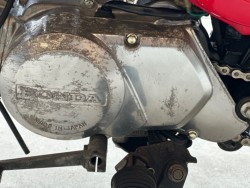 �z���_�����L�[�i���Q�������s�j�摜19