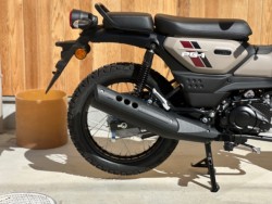 ���}�nPG-1�i���Q�������s�j�摜3