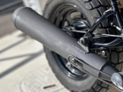 �z���_�G�C�v50�i���Q�������s�j�摜26