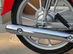 �z���_�X�[�p�[�J�u110�i���Q�������s�j�摜19