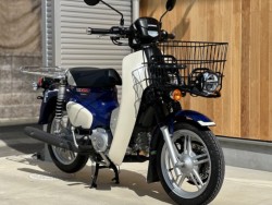 �z���_�X�[�p�[�J�u110�v���i���Q�������s�j�摜4