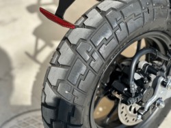 �z���_�����L�[125�i���Q�������s�j�摜21