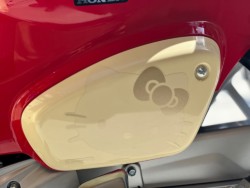 �z���_�X�[�p�[�J�u110�i���Q�������s�j�摜23