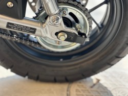 �z���_�����L�[125�i���Q�������s�j�摜24