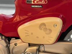 �z���_�X�[�p�[�J�u110�i���Q�������s�j�摜24