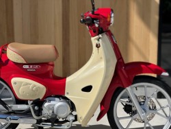 �z���_�X�[�p�[�J�u110�i���Q�������s�j�摜2