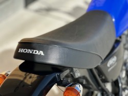 �z���_�G�C�v50�i���Q�������s�j�摜34