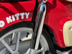 �z���_�X�[�p�[�J�u110�i���Q�������s�j�摜18