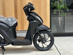 �z���_�f�B�I110�i���Q�������s�j�摜2