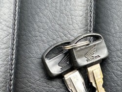 �z���_�����L�[�i���Q�������s�j�摜32