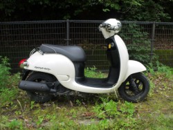 �z���_�W�����m�i�L�����L���s�������j�摜1