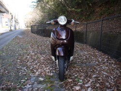 �z���_�W�����m�i�L�����L���s�������j�摜3