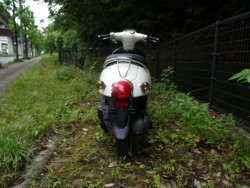�z���_�W�����m�i�L�����L���s�������j�摜4