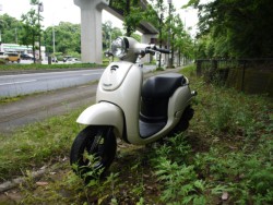 �z���_�W�����m�i�L�����L���s�������j�摜5