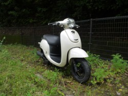 �z���_�W�����m�i�L�����L���s�������j�摜6