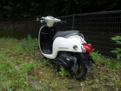 �z���_�W�����m�i�L�����L���s�������j�摜7