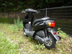 �z���_�^�N�g�i�L�����L���s�������j�摜8