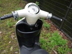�z���_�W�����m�i�L�����L���s�������j�摜10