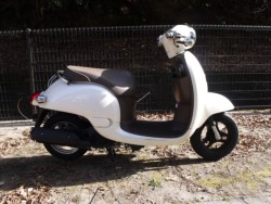 �z���_&nbsp;�W�����m 