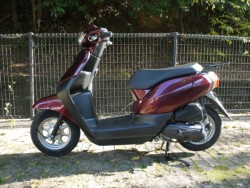 �z���_�^�N�g�i�L�����L���s�������j�摜2