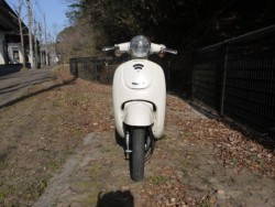 �z���_�W�����m�i�L�����L���s�������j�摜3