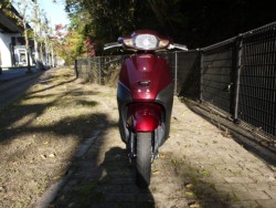 �z���_�^�N�g�i�L�����L���s�������j�摜3