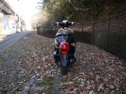 �z���_�W�����m�i�L�����L���s�������j�摜4