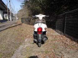 �z���_�W�����m�i�L�����L���s�������j�摜4